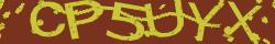 Retype the CAPTCHA code from the image